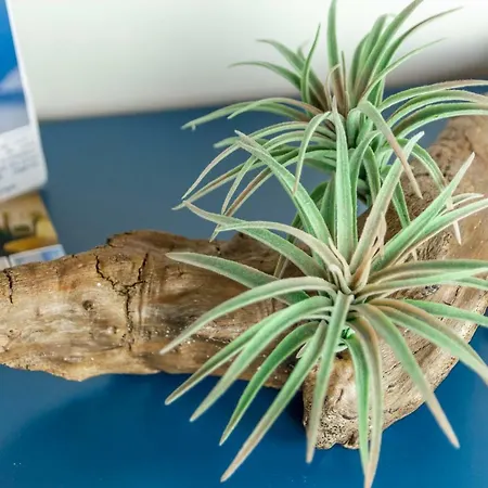 La Creta 3* Mandurie